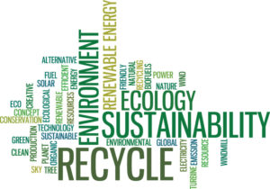 environmental sustainbility smaller
