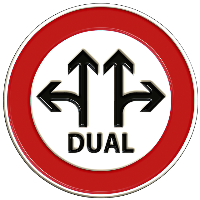 dual sign